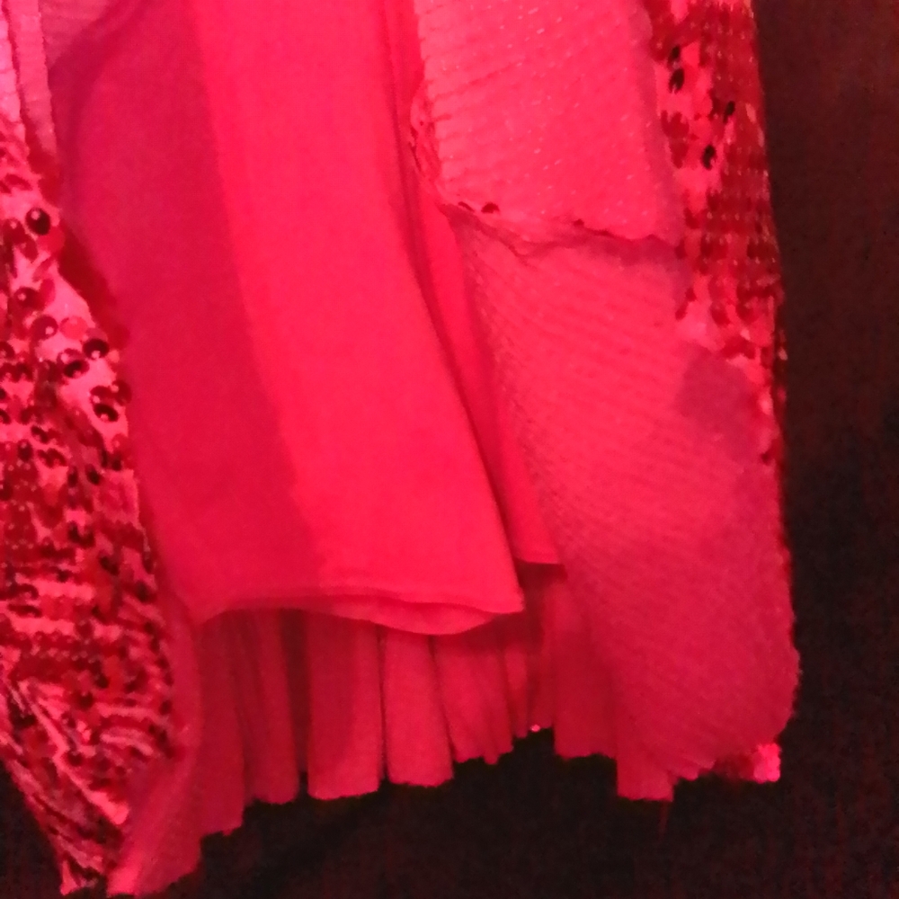 Competition Costume - Picture 4 of 4